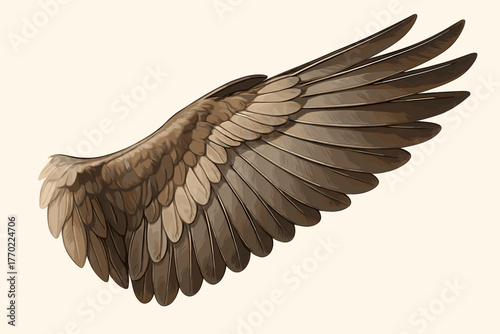 Extended fine vector elegant natural bird light reflections wing structures illustration feathered