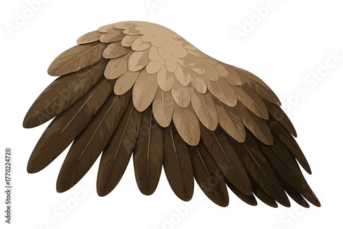Edges layers feather feathered view illustration wing overlapping shading realistic vector