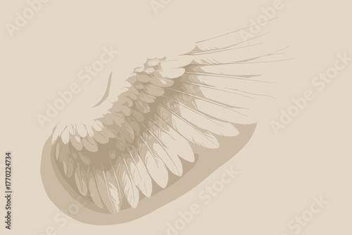 Simple against textures delicate featherwing serenity illustration wing soft background detail vector