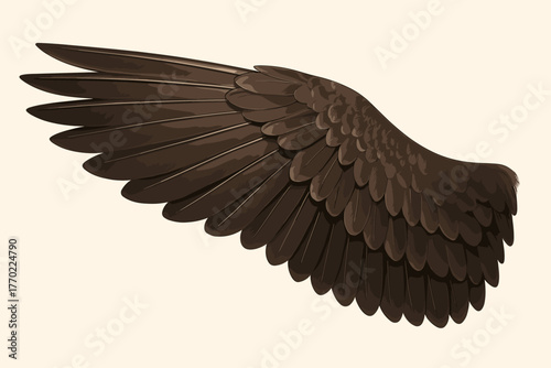 Realistic horizontally feather depth shading detail feathered structure wing vector extended illustration
