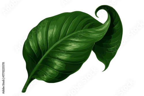 Leaf reflections tropical vector light illustration dark form hues curled realistic