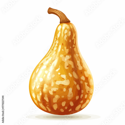 Gourd isolated on white background 