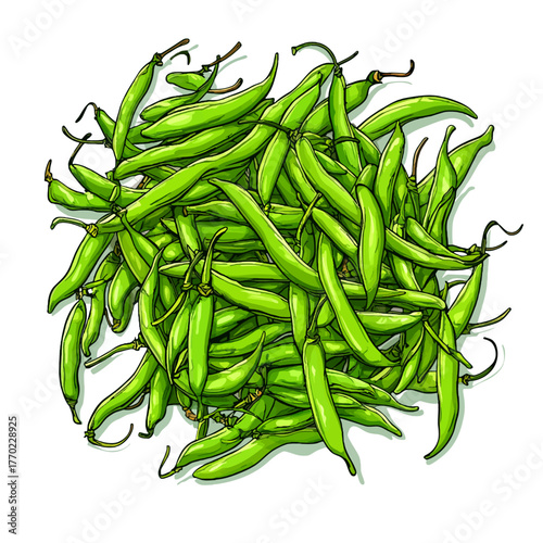 fresh green beans