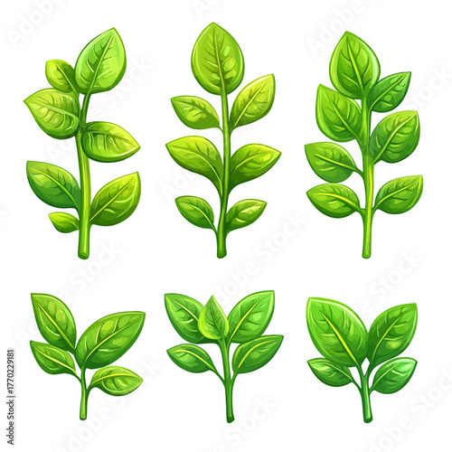 Green spinach vector 