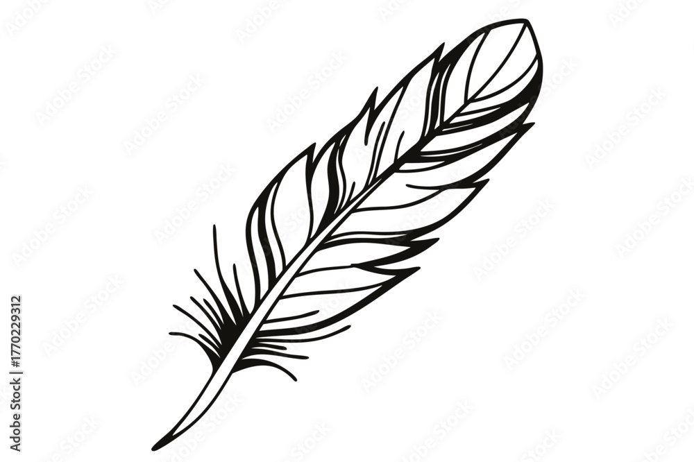 Obraz premium Feather Line Art Illustration Vector