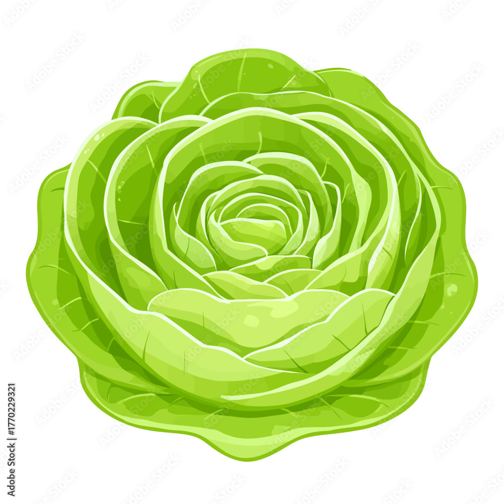 Obraz premium Greens vector illustration 
