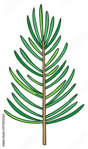 Simple hand-drawn pine branch illustration. Isolated evergreen fir sprig cartoon design element for winter.