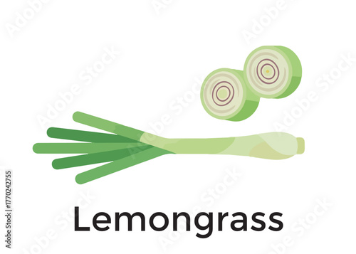 Illustration of lemongrass stalk with green leaves and two cross-sectional slices, isolated on a white background.