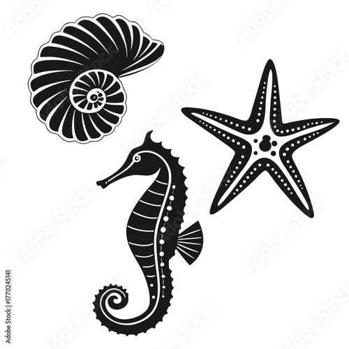 set-of-different-black-sea-shells-and-starfish-vec (11).eps