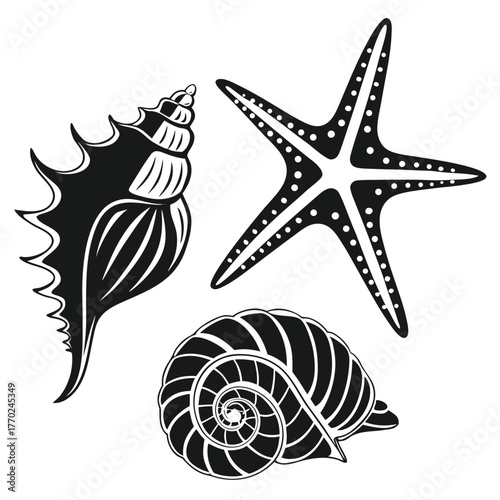 set-of-different-black-sea-shells-and-starfish-vec (15).eps