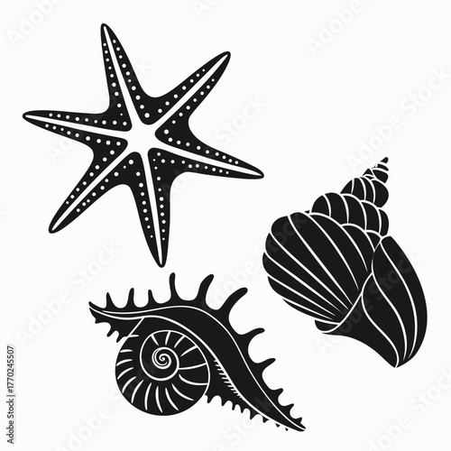 set-of-different-black-sea-shells-and-starfish-vec (8).eps