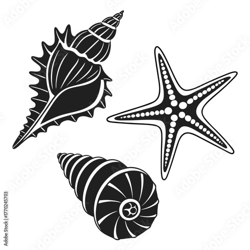 set-of-different-black-sea-shells-and-starfish-vec (9).eps