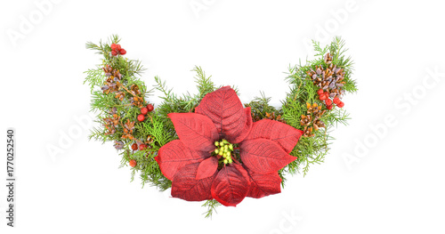 A Christmas waved garland with red pionsettia flower, coniferous branches with pine cones and berries, isolated on a white background. Flat lay. Top view.