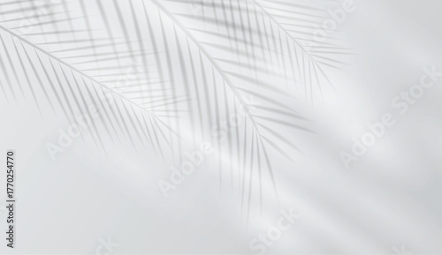 Abstract gray background with soft tropical leaf shadows and gentle light reflections. Display pedestal mockup minimal scene empty stage for presentation product, stand, showcase, exhibition, display