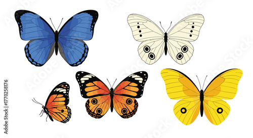 A vibrant collection of beautifully illustrated butterflies in various colors and patterns, depicted against a clean white background.