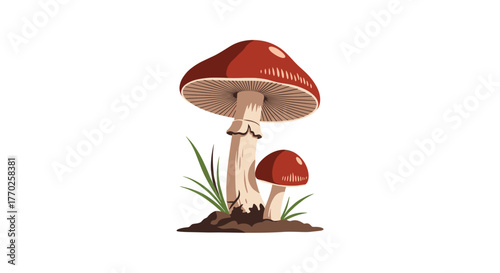 Vibrant vector illustration depicting a large and a small red-capped mushroom growing in dark soil with green grass.