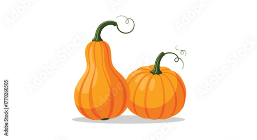 Vibrant orange vector illustration of two pumpkins, a tall gourd and a round one, with green stems and curly tendrils, isolated on white.