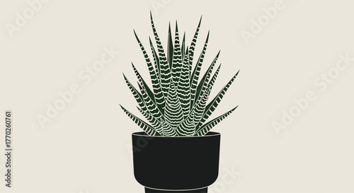 A simple and stylish illustration of a potted succulent plant, showcasing its unique striped green foliage in a black pot on a light beige background.