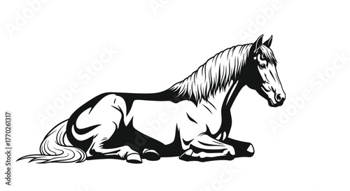 A captivating illustration of a majestic horse in a resting position, showcasing its elegant form and serene demeanor.
