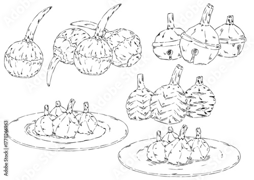 くわい6種　鉛筆　