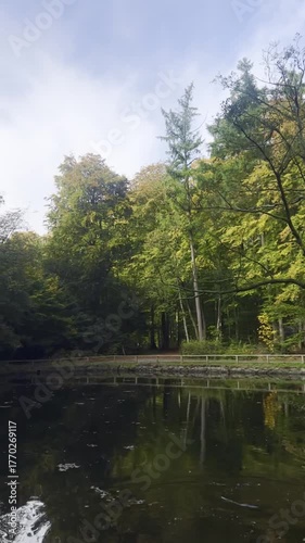 Beautiful golden yellow leaves forest at a lake, tranquil autumn background 