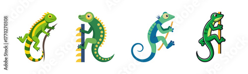 Four colorful chameleons climbing isolated on a