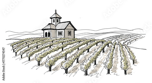 Charming vineyard with rustic building nestled amidst rolling hills, perfect for wine country inspiration