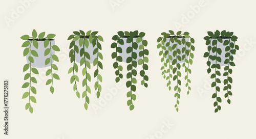 Five hanging potted plants with lush green cascading vines create a serene and natural home decor aesthetic