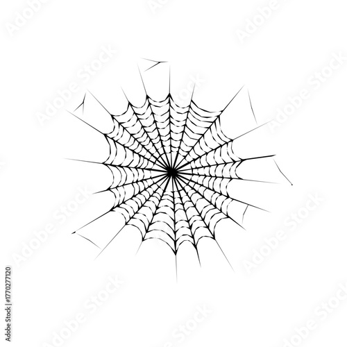 Spider web, a creepy decoration for halloween