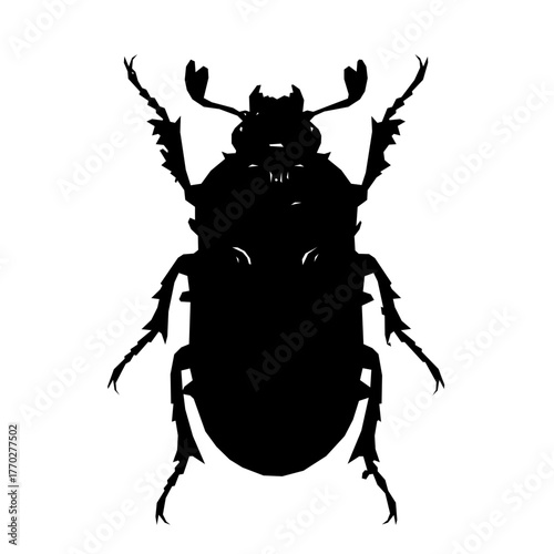 Silhouette of scarab beetle for egypt concept