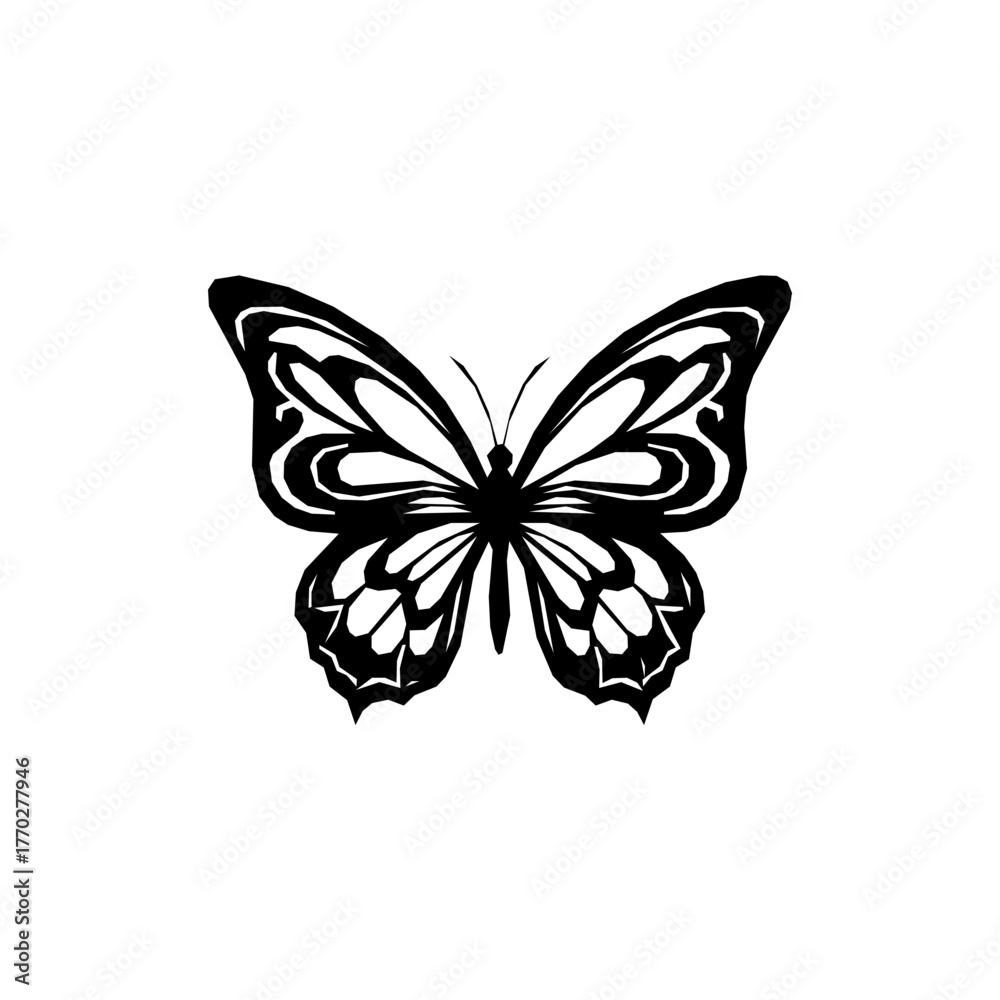 Fototapeta premium Black and white butterfly with intricate wing patterns