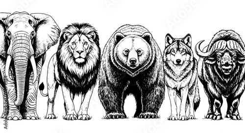 Majestic Wildlife Lineup: Elephant, Lion, Bear, Wolf & Buffalo Standing Together in Detailed Black and White Illustration, Representing Conservation, Strength, and Unity for Education, Nature, and Des