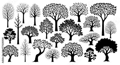 Diverse Trees Silhouettes Collection for Ecological Projects, Landscaping Design, and Arboriculture Illustrations: A Botanical Set Representing Nature's Richness for Environmental Conservation, Forest
