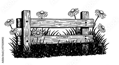 Rustic Wooden Fence with Daisies in a Summer Garden Illustration, Hand-Drawn Style Artwork for Farmhouse Decor, Landscaping Designs and Springtime Themes. Use for Greetings, Invitations, Websites, and