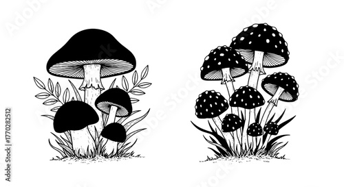 Hand-Drawn Mushroom Illustration: Exploring Nature's Wonders with Detailed Fungi in a Forest Glade for Botanical Studies and Woodland-Themed Projects, Perfect for Educational Resources, Vintage-Inspir