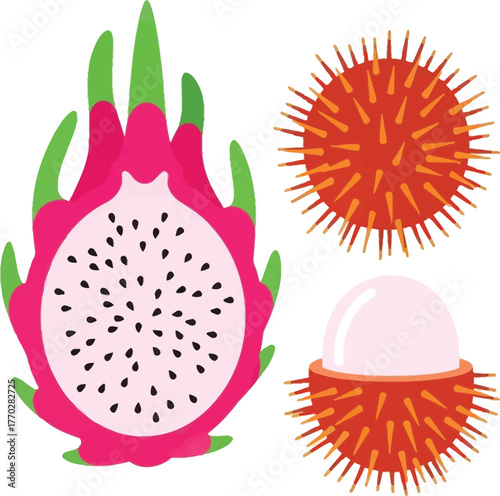 Flat-design exotic fruits including dragonfruit and rambutan — two-tone vector illustration set, tropical minimal art, modern fruit design icons