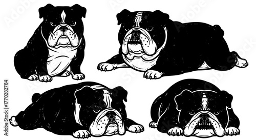 Black and White Bulldog Poses Illustration: Loyal Companions in Varied Moods, Perfect for Pet-Themed Designs, Animal Shelter Marketing, and Veterinary Brochures. A Decorative Graphic Art Collection of