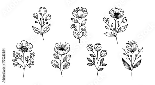 Botanical Floral Illustrations: Elegant Hand-Drawn Flowers for Wedding Invitations, Spring Designs & Natural Decoration, Perfect for Graphic Resources, Branding Projects, & Eco-Friendly Business, Simp