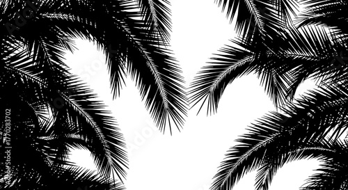 Lush Palm Fronds Silhouetted Against Bright Sky in Tropical Paradise Swaying Gently, Representing Summer Vacation, Relaxation & Serenity for Travel & Tourism Industries, Black & White Botanical Illust