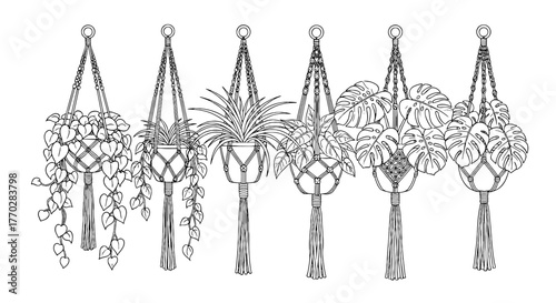 Botanical Macrame Plant Hangers, Hand-Drawn Indoor Garden Illustration for Home Decor Projects, Bohemian Style Hanging Planters in a Row, Ornamental Plants, Natural Fiber Art, Earthy Aesthetic for Int