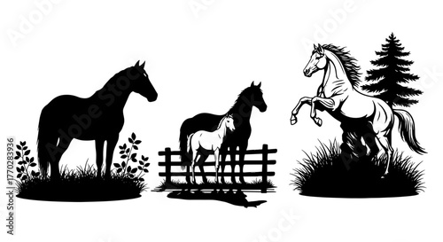 Horse Silhouettes in Rural Scene: Majestic Stallion Rearing Amidst Grasses, Mare and Foal by Fence, Standing Equine Portrait on Plain. Equine Artwork for Western Lifestyle, Ranching, Veterinary, Eques