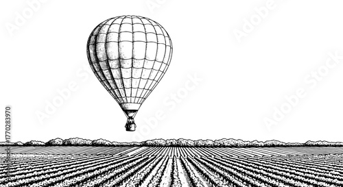 Hot Air Balloon Gently Soaring Over a Lush Vineyard Landscape: Dreamy Flight Above Rows of Grapes, Vintage Engraving Style for Travel Adventures, Wine Industry Marketing, Romantic Getaways, Agricultur