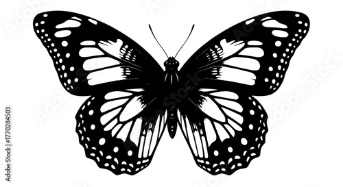 Detailed Butterfly Illustration in Black and White, Flying Insect with Intricate Wing Pattern for Nature Education, Wildlife Conservation, and Artistic Design Projects. Monochrome Vector Graphic for B