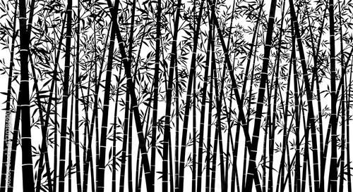 Dense Bamboo Forest Canopy: Tranquil Asian Grove with Black Stalks Silhouette in a Serene White Environment for Meditation, Backgrounds & Nature-Inspired Design (Zen Garden, Ecology,  Sustainability,