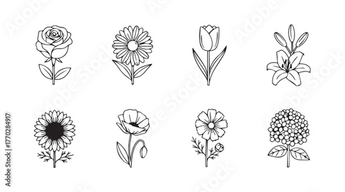 Collection of eight hand-drawn floral botanical sketch elements for design projects silhouette