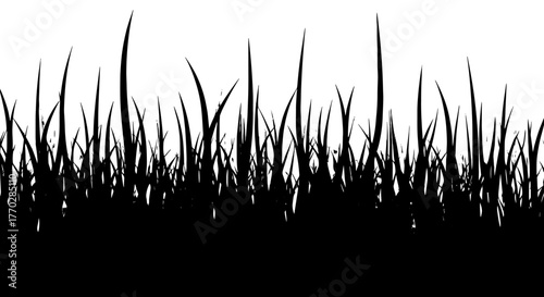 Silhouette of Grass Blades Against White Background for Nature Designs and Overlay Effects, Representing Growth and Springtime in a Minimalist Style, Ideal for Environmental Projects and Conceptual Ma