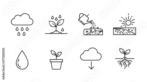 Hand-drawn icons depicting plant growth stages from seed to sprout with watering and sun silhouette