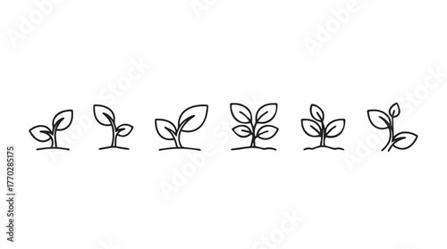 Hand drawn seedling growth stages represented by simple sketches icons set silhouette