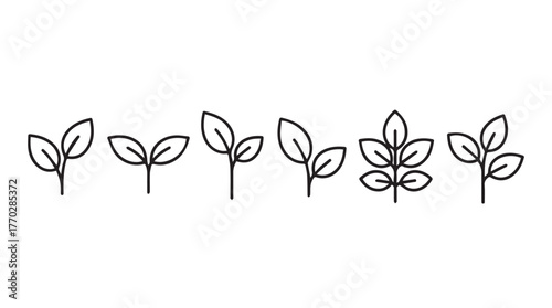 Six stylized line art seedling icons representing growth and nature concepts silhouette