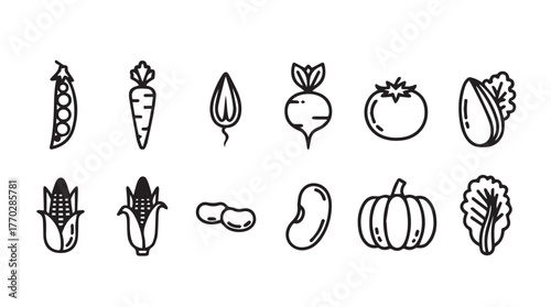 Hand drawn sketch icons of fresh vegetables and produce for healthy eating and food concepts silhouette